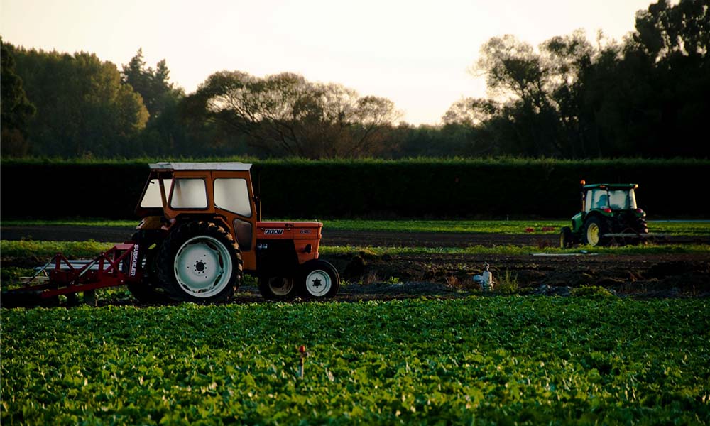 I benefici del carbon farming e le buone pratiche